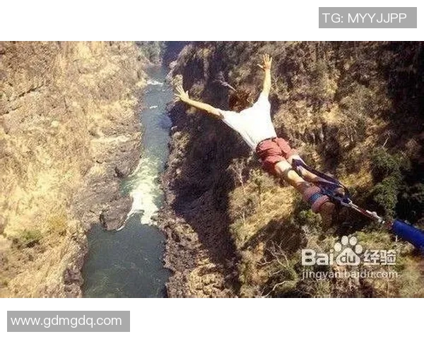 成都极限运动队比赛经验引发热议与争议的背后故事