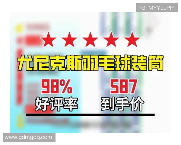 羽毛球爱好者必看训练器材推荐与选购指南助你提升技能